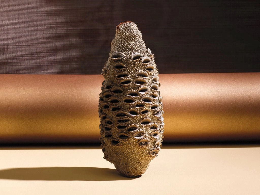 Parfémovaná voda Banksia (100 ml) od Locherber Milano, vůně eukalyptus, monoi, santalové dřevo a banksia nektar, Waterfall Bathrooms.