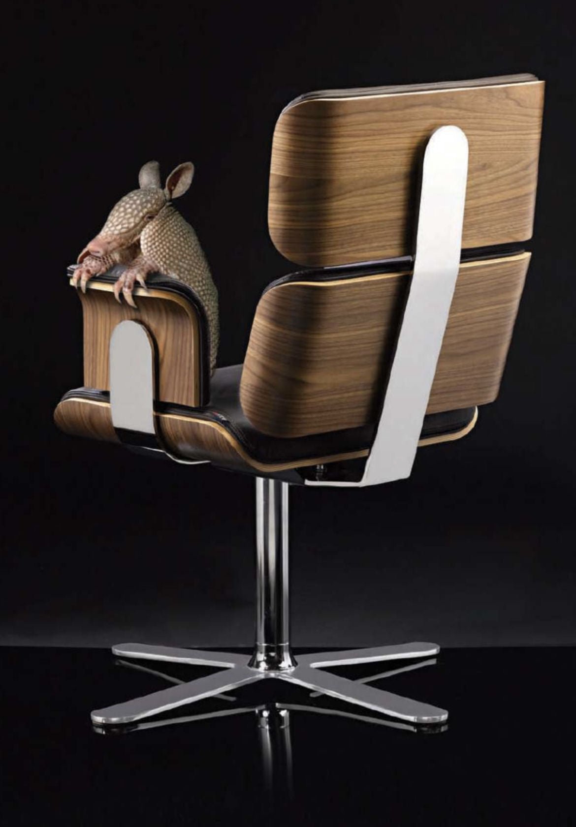 Luxusní černé kožené kancelářské křeslo Armadillo 2 od Altek Italia Design s chromovanou podnoží vyniká prémiovým designem. - Waterfall Bathrooms
